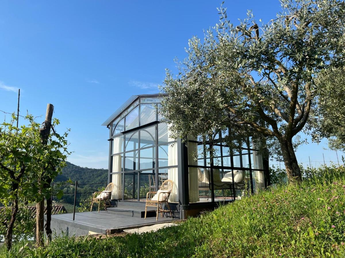 Agriturismo Il Conte Vassallo Miane Εξωτερικό φωτογραφία