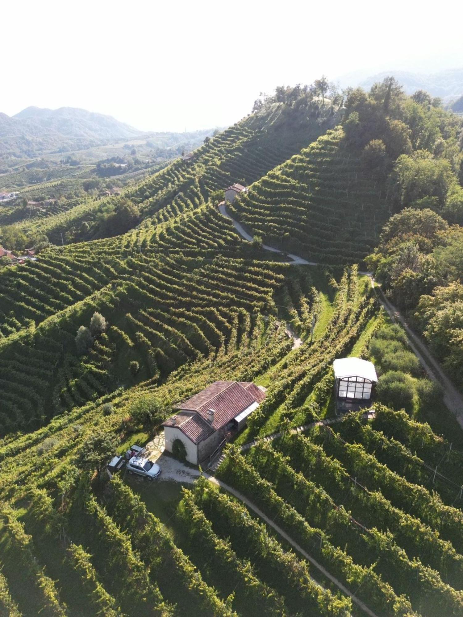 Agriturismo Il Conte Vassallo Miane Εξωτερικό φωτογραφία